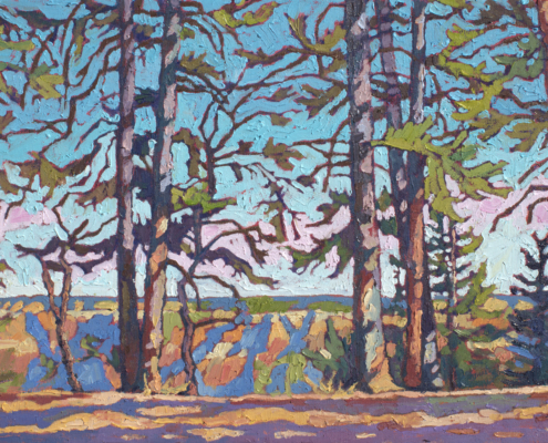 oil painting of tall ponderosa pines at the North Rim of the Grand Canyon, with the South Rim visible through the trunks in late golden light