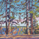oil painting of tall ponderosa pines at the North Rim of the Grand Canyon, with the South Rim visible through the trunks in late golden light
