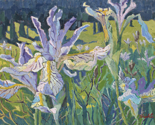 Rocky Mountain Irises Colorado.