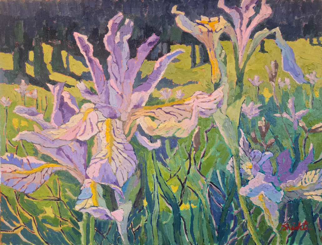 Rocky Mountain Irises Colorado.