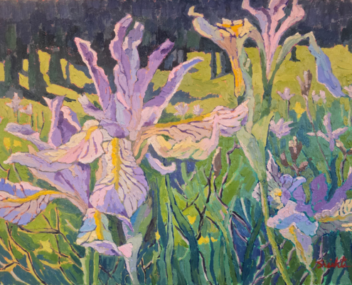 Rocky Mountain Irises Colorado.