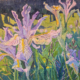 Rocky Mountain Irises Colorado.